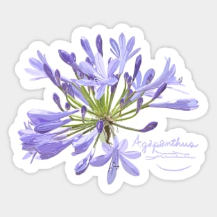 Agapanthus Sticker